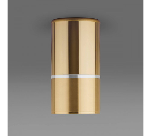 Потолочный светильник Elektrostandard DLN106 GU10 золото 4690389148613