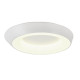 Потолочный светильник Myfar Phoebe MR9150-CL