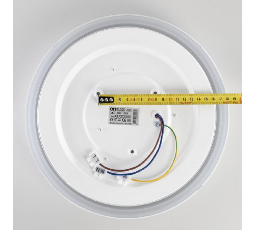 Потолочный светильник Citilux Boss CL751250G Потолочный светильник Citilux Boss CL751250G