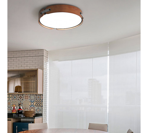 Потолочный светильник ImperiumLoft Range 101959-26 Потолочный светильник ImperiumLoft Range 101959-26