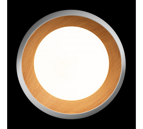 Потолочный светильник Loft IT Folk 10255/500 White Потолочный светильник Loft IT Folk 10255/500 White