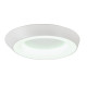 Потолочный светильник Myfar Phoebe MR9150-CL