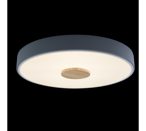 Потолочный светильник Loft IT AXEL 10003/24 Grey