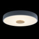 Потолочный светильник Loft IT AXEL 10003/24 Grey
