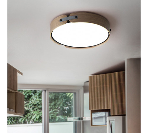 Потолочный светильник ImperiumLoft Range 101959-26 Потолочный светильник ImperiumLoft Range 101959-26