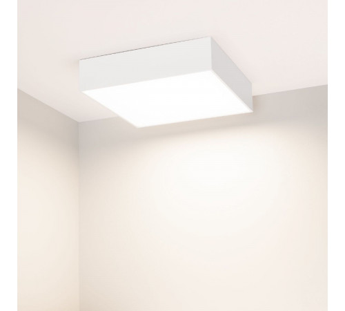 Потолочный светильник Arlight IM-QUADRO-EMERGENCY-3H-S250x250-28W Day4000 (WH, 120 deg, 230V) 041005 Потолочный светильник Arlight IM-QUADRO-EMERGENCY-3H-S250x250-28W Day4000 (WH, 120 deg, 230V) 041005