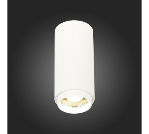Потолочный светильник ST Luce Zoom ST600.542.10 Потолочный светильник ST Luce Zoom ST600.542.10