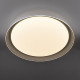 Потолочный светильник Citilux Mega CL752451G