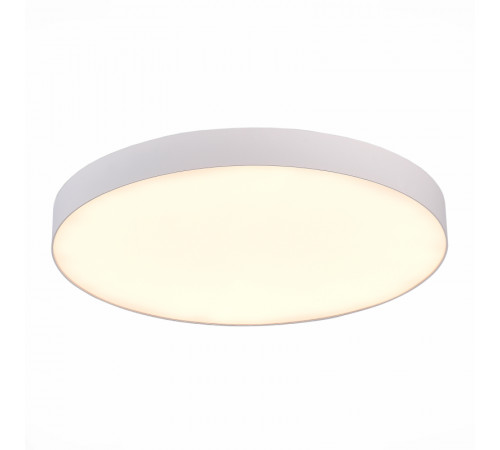 Потолочный светильник ST Luce ST606.532.96 Потолочный светильник ST Luce ST606.532.96