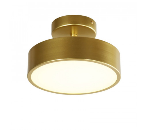 Потолочный светильник F-Promo Atma 3059-2P Потолочный светильник F-Promo Atma 3059-2P