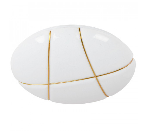 Потолочный светодиодный светильник Arte Lamp Biscotti A2677PL-72GO