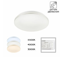 Потолочный светильник Citilux Симпла CL71424SV