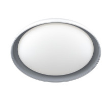 Потолочный светильник Citilux Mega CL752451G