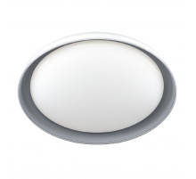 Потолочный светильник Citilux Mega CL752451G