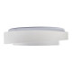 Потолочный светильник Myfar Rhea MR9160-CL