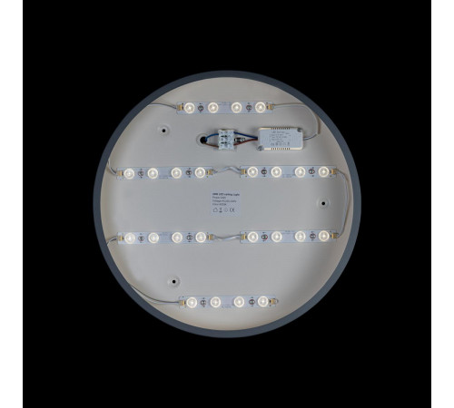 Потолочный светильник Loft IT AXEL 10003/24 Grey