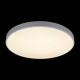 Потолочный светильник Loft IT AXEL 10002/48 White