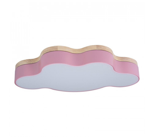 Потолочный светильник Loft IT AXEL 10005/30 Pink