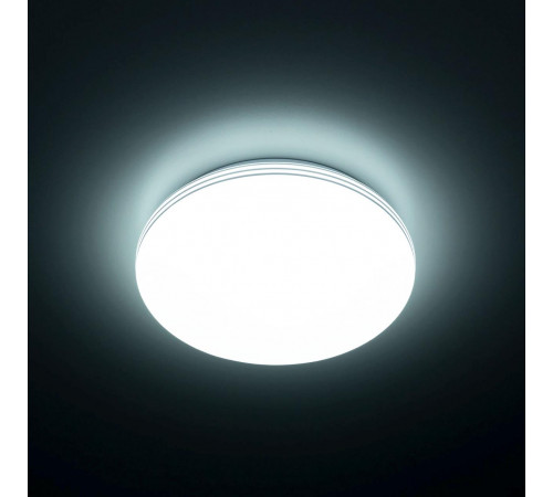 Потолочный светильник Citilux Симпла CL71424SV