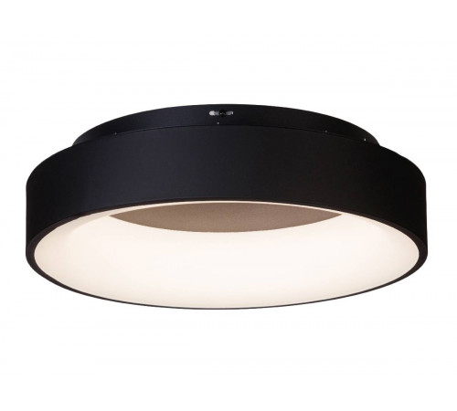 Потолочный светильник Myfar Shannon MR2193-1PL Потолочный светильник Myfar Shannon MR2193-1PL