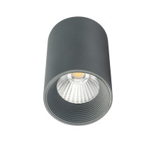 Потолочный светильник 20003 20003SMU/01LED SGY