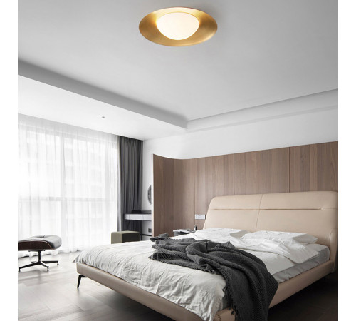 Потолочный светильник ImperiumLoft Alon 208110-23 Потолочный светильник ImperiumLoft Alon 208110-23