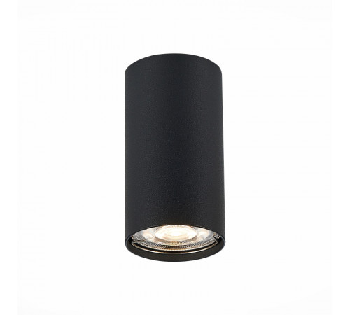 Потолочный светильник ST LUCE ST110.407.01 Потолочный светильник ST LUCE ST110.407.01