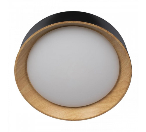 Потолочный светильник Loft IT Coin 10202 Black Потолочный светильник Loft IT Coin 10202 Black
