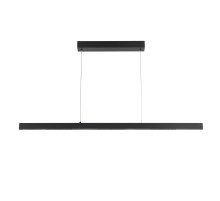 Подвесной светильник Arte Lamp Lao A2190SP-1BK