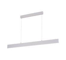 Подвесной светодиодный светильник Arte Lamp A2505SP-2WH