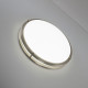 Настенно-потолочный светильник Citilux Бостон CL709501N