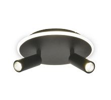 Настенно-потолочный светильник Escada 20046SMA/02LED BK