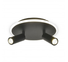 Настенно-потолочный светильник Escada 20046SMA/02LED BK