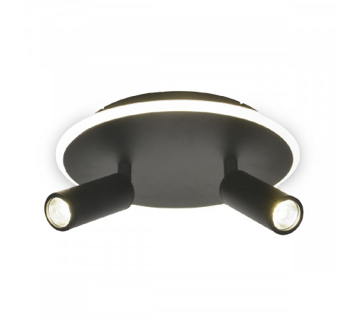 Настенно-потолочный светильник Escada 20046SMA/02LED BK Настенно-потолочный светильник Escada 20046SMA/02LED BK