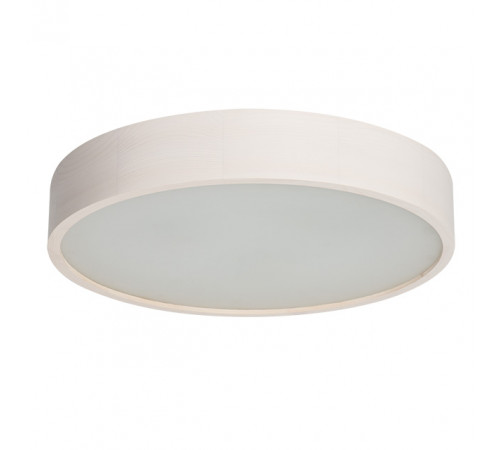 Настенно-потолочный светильник Kanlux Jasmin 470-W 23125 Настенно-потолочный светильник Kanlux Jasmin 470-W 23125