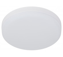 Настенно-потолочный светильник Эра LED 15-36-4K Б0054336