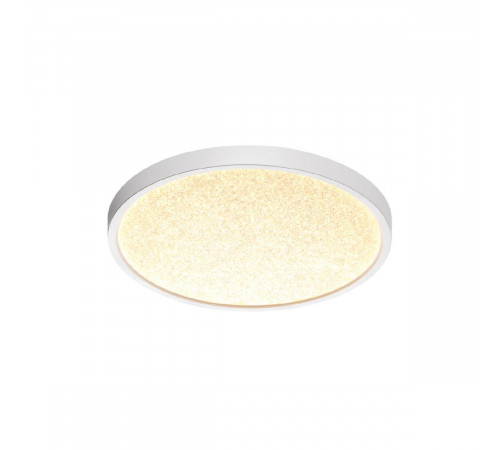 Настенно-потолочный светильник Sonex Omega white 7661/24L