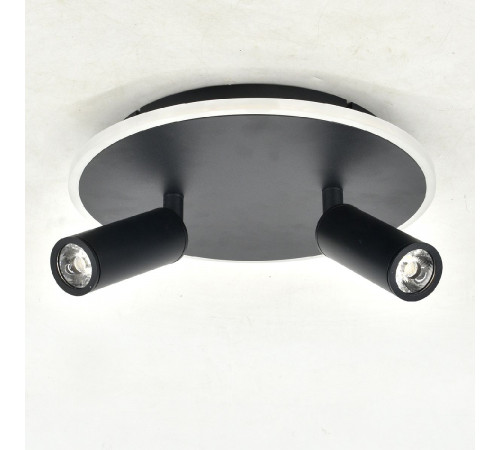 Настенно-потолочный светильник Escada 20046SMA/02LED BK Настенно-потолочный светильник Escada 20046SMA/02LED BK