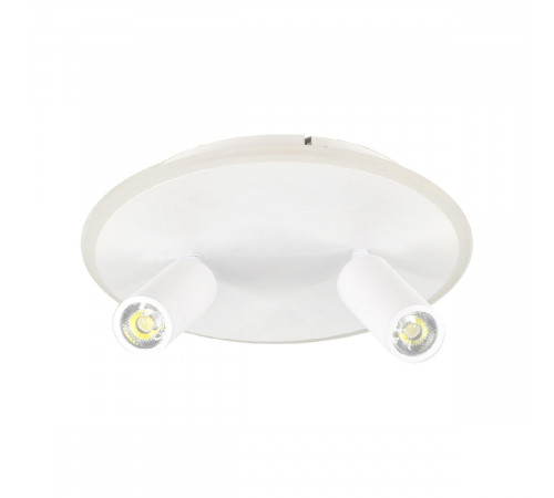 Настенно-потолочный светильник Escada 20046SMA/02LED WH Настенно-потолочный светильник Escada 20046SMA/02LED WH
