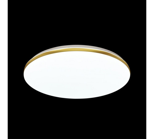 Настенно-потолочный светильник Sonex Lassa 3043/EL