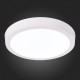 Настенно-потолочный светодиодный светильник ST Luce Nubes ST112.532.18