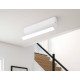 Настенно-потолочный светильник Ambrella Light Move TA1818
