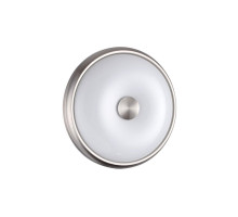 Настенно-потолочный светильник Odeon Light Pelow 4957/2