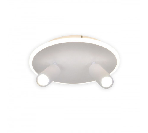 Настенно-потолочный светильник Escada 20046SMA/02LED WH Настенно-потолочный светильник Escada 20046SMA/02LED WH