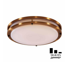 Настенно-потолочный светильник Citilux Бостон CL709503N