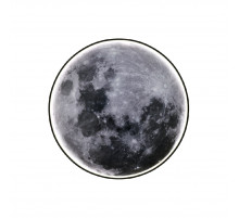 Настенно-потолочный светильник Escada Planet 605/S LED Moon