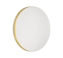 Настенно-потолочный светильник Sonex Smalli 3066/CL