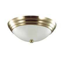 Настенно-потолочный светильник Lumion Vintage 5262/2C