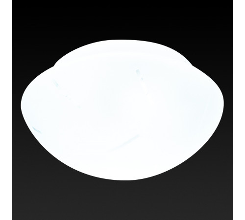 Потолочный светильник Toplight Mae TL9400Y-02WH Потолочный светильник Toplight Mae TL9400Y-02WH