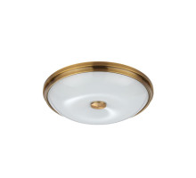 Настенно-потолочный светильник Odeon Light Pelow 4956/4